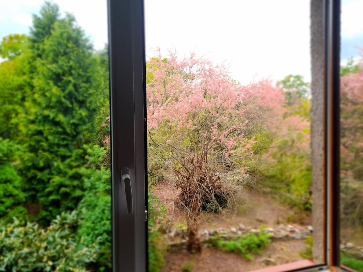 Aparthotel Lev I Sova Mělník Exteriér fotografie