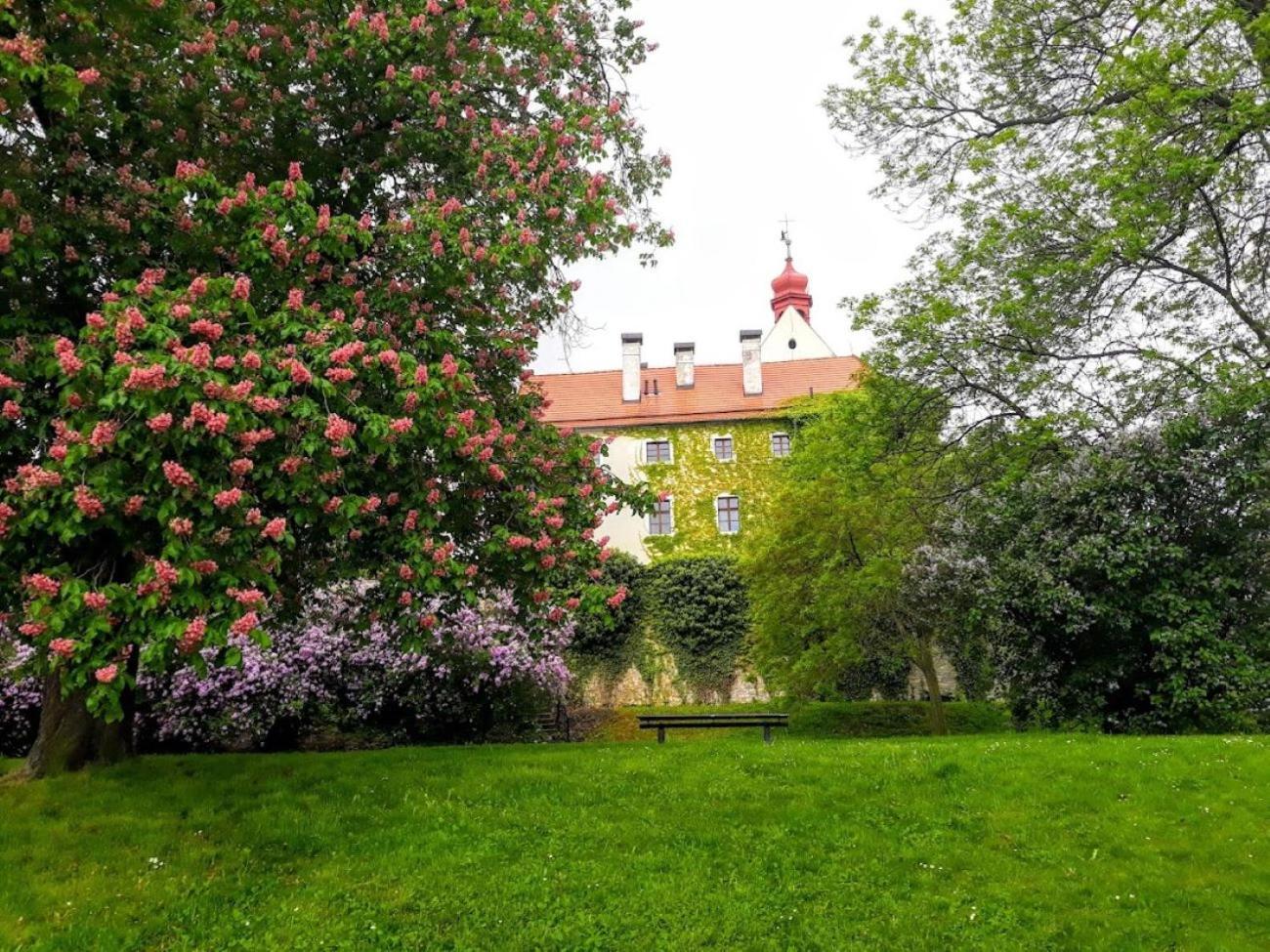 Aparthotel Lev I Sova Mělník Exteriér fotografie