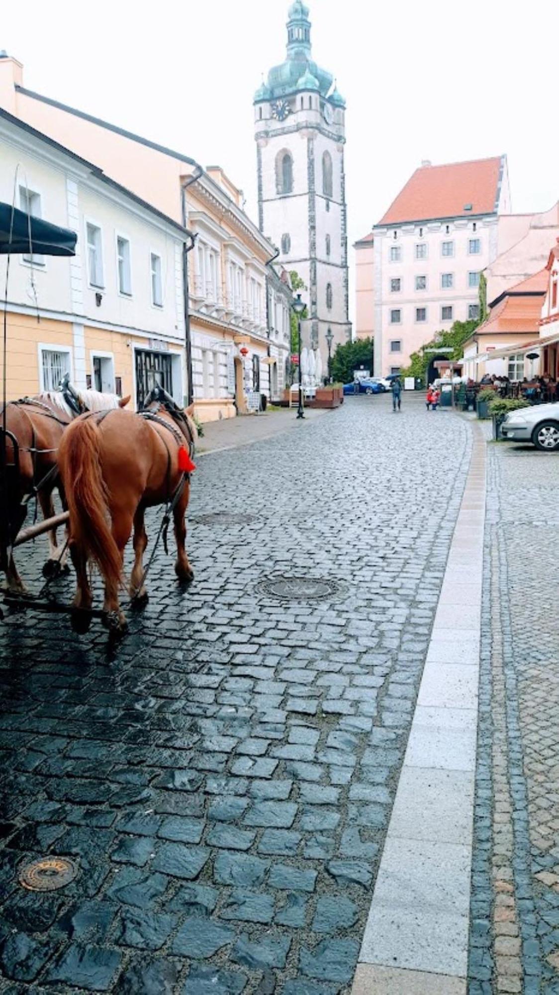 Aparthotel Lev I Sova Mělník Exteriér fotografie