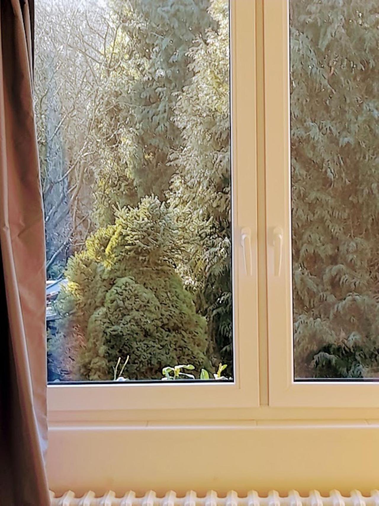 Aparthotel Lev I Sova Mělník Exteriér fotografie