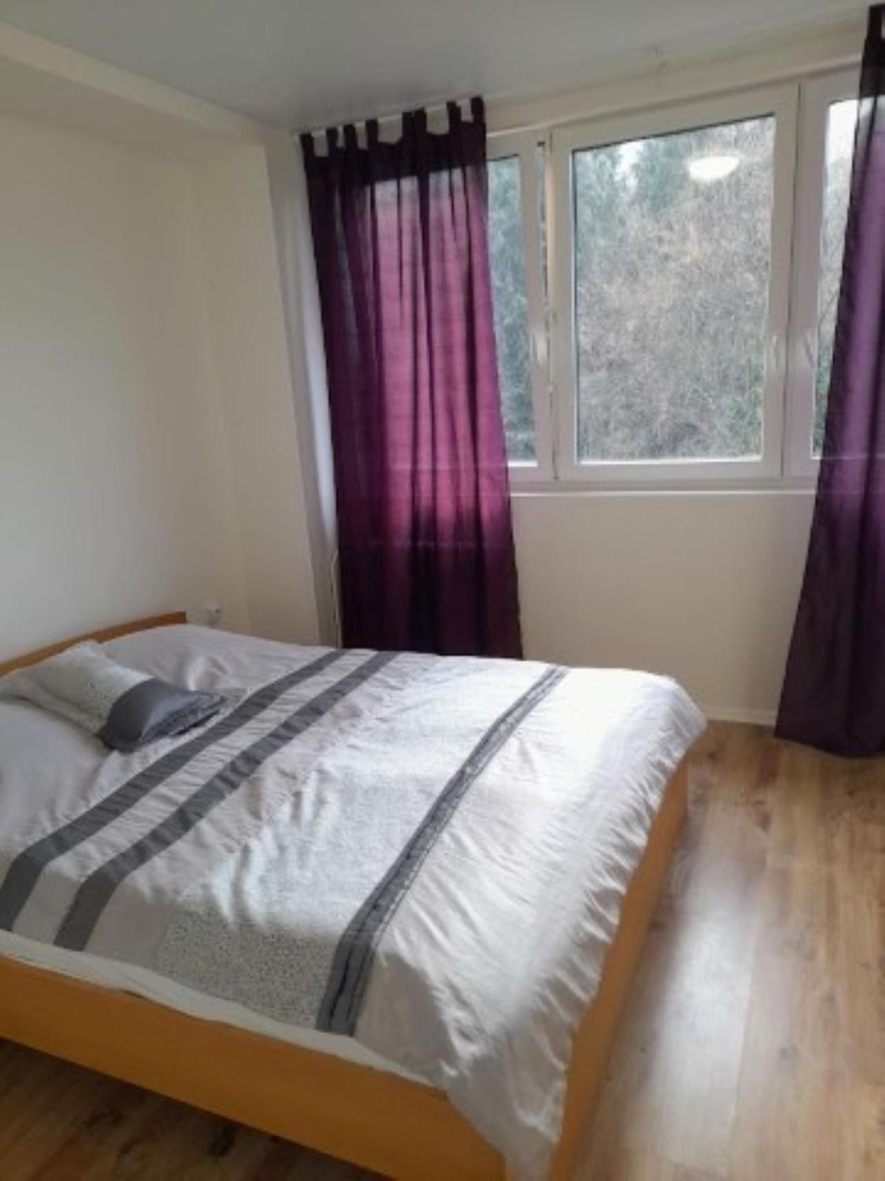 Aparthotel Lev I Sova Mělník Exteriér fotografie