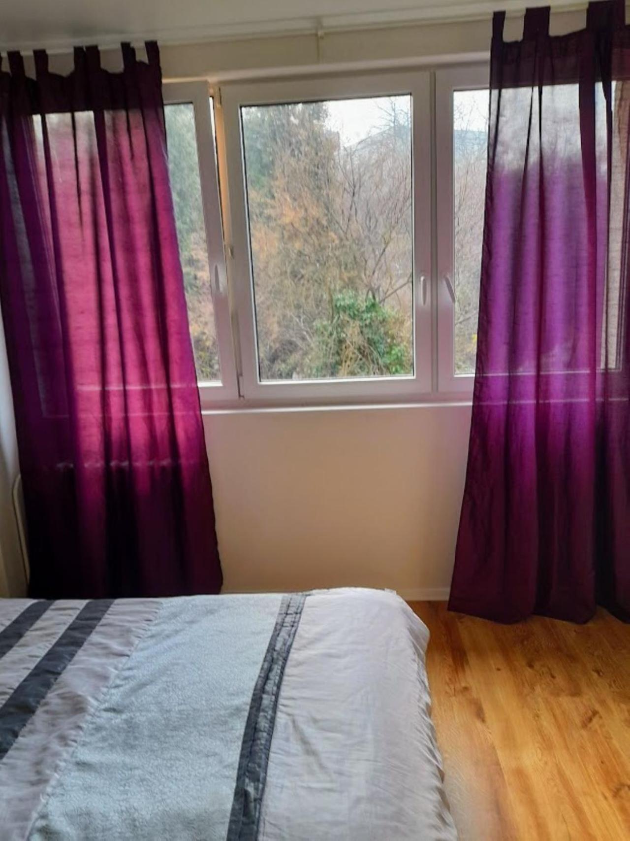 Aparthotel Lev I Sova Mělník Exteriér fotografie